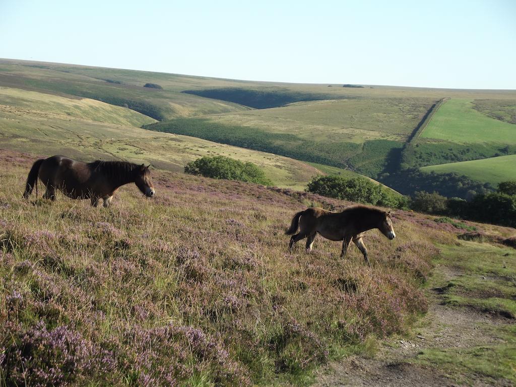 Bed and Breakfast Lee House Lynton Esterno foto